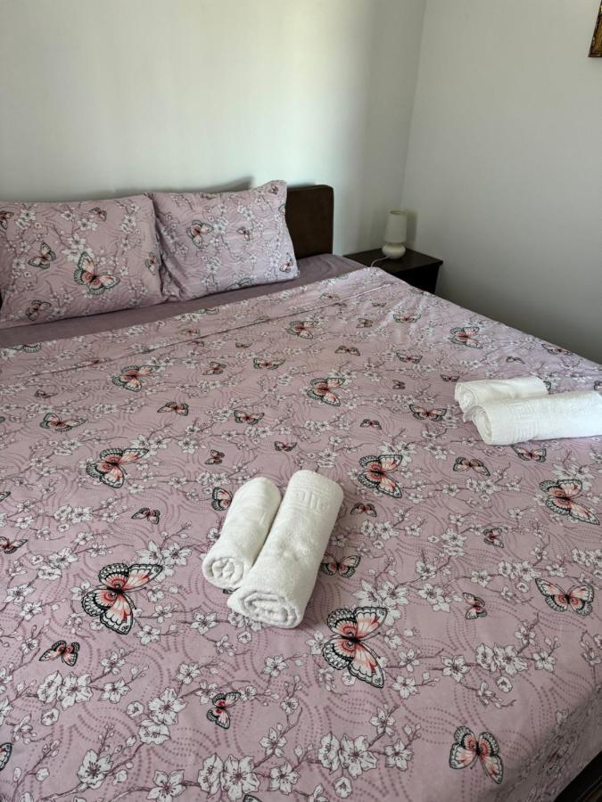 Apartments Airport Golubovci Подгорица Екстериор снимка